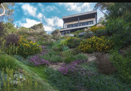 Mediterranean courtyard garden with stone walls, steps, and planting