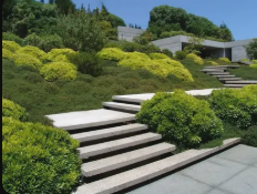 Terraced villa landscape with structured greenery and lounge space